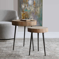 Picture of SAMBA NESTING TABLES SET OF 2